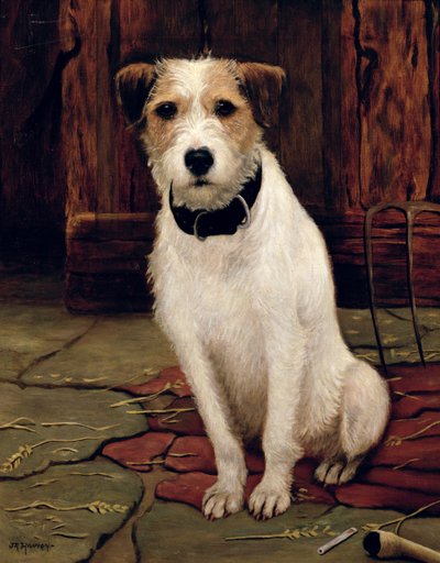 صورة الكلب بواسطة John Rabone Harvey