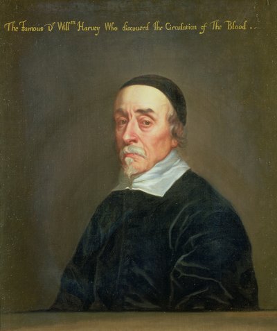 صورة ويليام هارفي (1578-1657) بواسطة جون رايلي