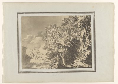بيوك الزان (العنوان على الكائن) Verschillende soorten Bomen (عنوان المسلسل) ترسيمات الطابع العام لأشجار الغابات وانعكاساتها وأوراقها (عنوان السلسلة) بواسطة جون روبرت Cozens