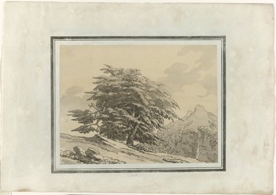 سيدار بواسطة جون روبرت Cozens