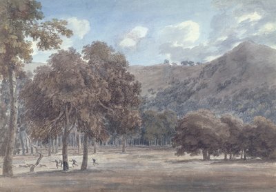 Il Parco da Degle &39;Astroni - أسفل الحفرة المشجرة مع الصيد قيد التقدم ، 1783 (الجرافيت و wc على الورق) بواسطة جون روبرت Cozens