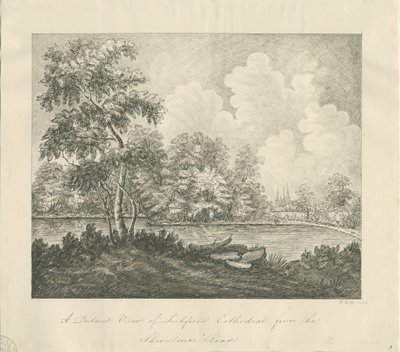 كاتدرائية ليتشفيلد - منظر من الغرب والجنوب الغربي (بعيد): الرسم بالقلم بواسطة جون روبرت Fernyhough