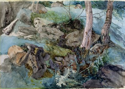 دراسة الصخور والسرخس في خشب في Crossmount ، بيرثشاير ، 1843 (مرحاض على ورق) بواسطة John Ruskin
