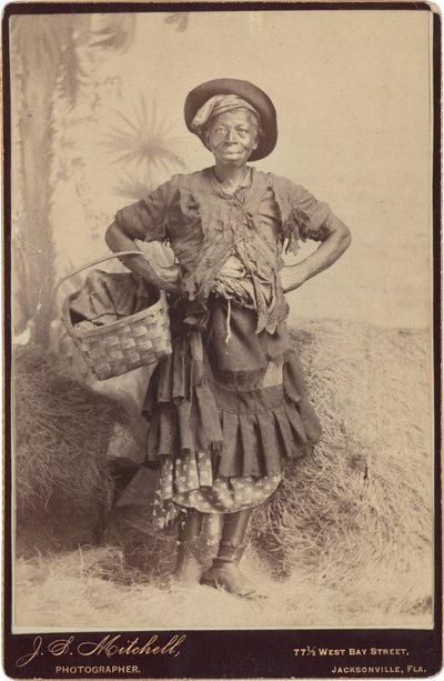 صورة لامرأة، ج. 1890 (صورة فوتوغرافية) بواسطة جون س. ميتشل