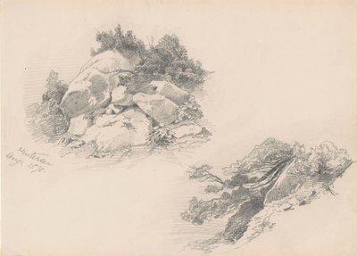 Rocks and Brush ، Hintersee ، ألمانيا ، 1871 (الجرافيت على ورق wover) بواسطة جون سينغر سارجنت
