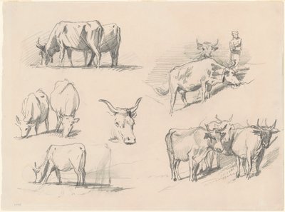 دراسات الماشية ، ج. 1872. بواسطة جون سينغر سارجنت