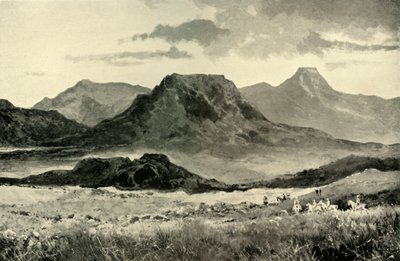 "ساحة معركة تاريخية: يناير-فبراير 1881 ومايو 1900" ، 1901. بواسطة جون تالبوت كوك