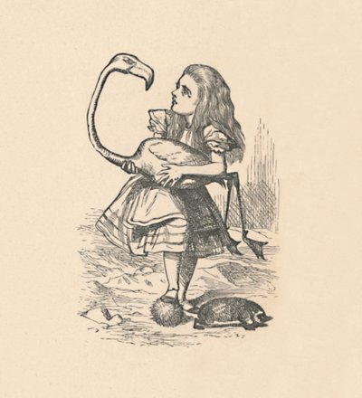 تحاول أليس لعب الكروكيه مع فلامنغو كمطرقة ، 1889 بواسطة جون تينيل