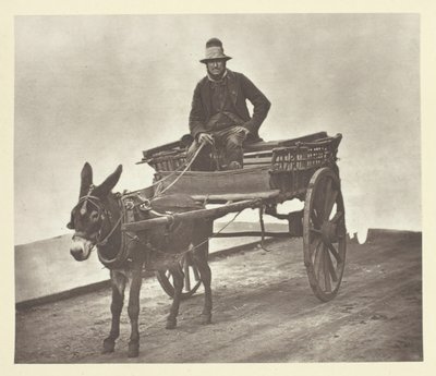بلاك جاك ، 1881. بواسطة جون طومسون