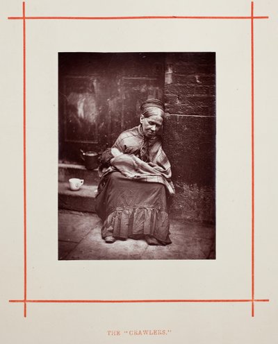 الزواحف 1877. بواسطة جون طومسون