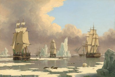 مصايد الحوت الشمالي: البجعة وإيزابيلا ، ج. 1840. بواسطة جون وارد آي.