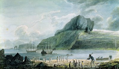 منظر لميناء عيد الميلاد في أرض كيرغولين ، 1781-4 بواسطة جون ويبر