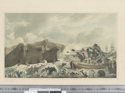 F.32 خيل البحر ، حوالي 1773 - 84 (ألوان مائية) بواسطة جون ويبر