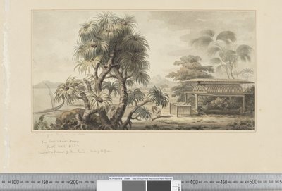 F.46 منظر لمقبرة على شاطئ البحر ، حوالي 1783-84 (ألوان مائية) بواسطة جون ويبر