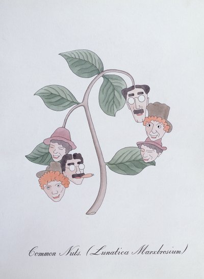 المكسرات المشتركة. (Lunatica Marxbrosium) ، رسم توضيحي من "The Bogus Book of Botany" لجون وير بواسطة جون وير