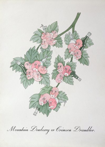 Mountain Dewberry أو Crimson Drambler ، رسم توضيحي من "The Bogus Book of Botany" لجون وير بواسطة جون وير