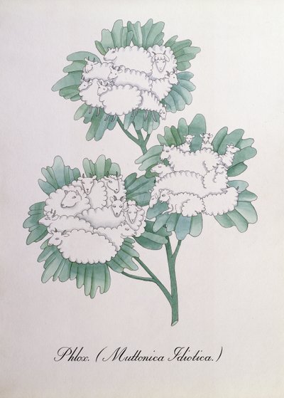 الفلوكس. (Muttonica Idiotica) ، رسم توضيحي من "The Bogus Book of Botany" لجون وير بواسطة جون وير