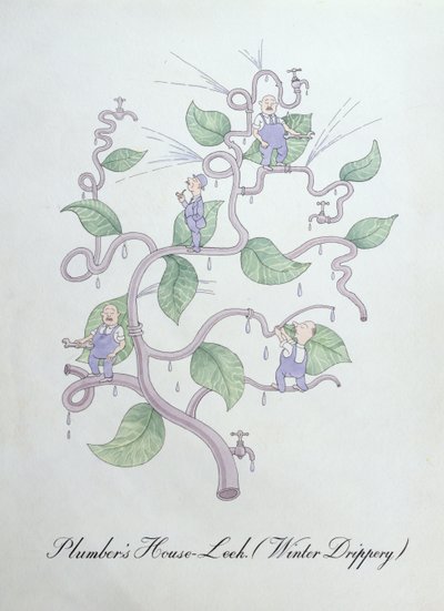 كراث منزل السباك (قطرات الماء)، رسم توضيحي من "كتاب علم النبات الزائف" بقلم جون وير بواسطة جون وير
