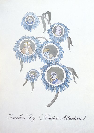 فرح المسافرين (Nausica Atlantica.) ، رسم توضيحي من "The Bogus Book of Botany" لجون وير بواسطة جون وير