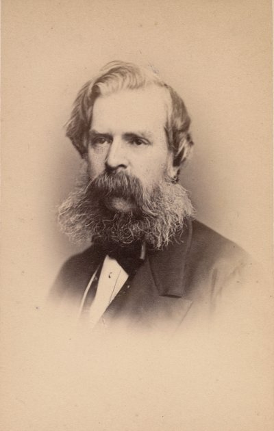 الكسندر جونستون ، 1860. بواسطة جون وتشارلز واتكينز