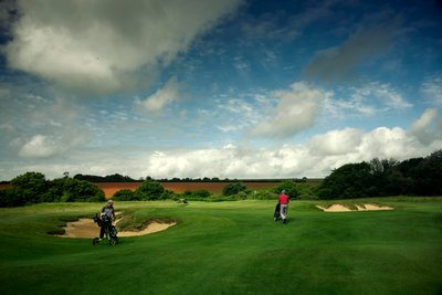 ضيعة جودوود في غرب ساسكس، المملكة المتحدة، 2019 (الصورة) بواسطة جون نيكلسون