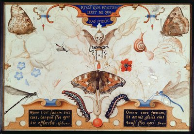 Diptych بالورود والحشرات ، 1591 (marouflage und الرق على اللوحة) بواسطة جوريس هوفناجل