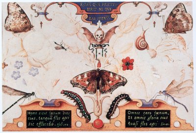 Diptych بالورود والحشرات ، 1591. بواسطة جوريس هوفناجل