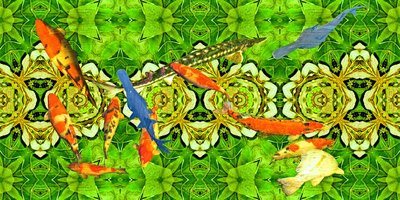 المخلوقات: Koi carp fish under water garden 3 بواسطة جوزيف جوهان مايكل