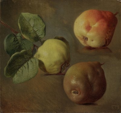 سفرجل - سفرجل - جوزيف نافراتيل (1798-1865). زيت على قماش بواسطة جوزيف ماتيج نافراتيل