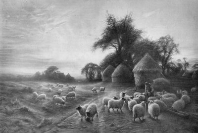 تغذية الأغنام ، c1890 ، 1911 بواسطة جوزيف فاركوهارسون