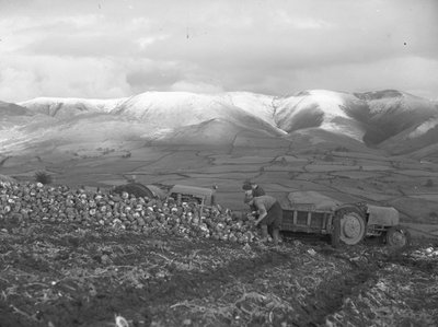  بواسطة جوزيف هاردمان