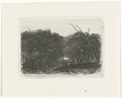 عرض الغابات بواسطة جوزيف هارتوجينسيس