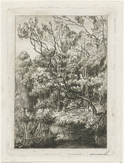 عرض الغابات بواسطة جوزيف هارتوجينسيس