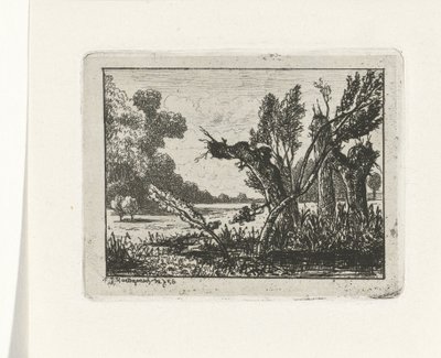 بولارد الصفصاف بواسطة جوزيف هارتوجينسيس