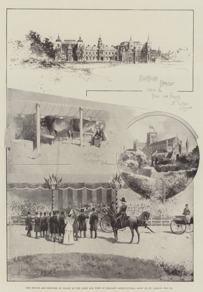 أمير وأميرة ويلز في الحمام وزراعة غرب إنجلترا في سانت ألبانز ، 29 مايو بواسطة Joseph Holland Tringham