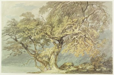 شجرة عظيمة ، c.1796 (مرحاض فوق الجرافيت على الورق) بواسطة جوزيف مالورد وليام تورنر