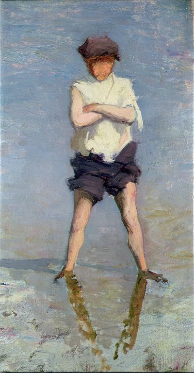 قنفذ البحر بواسطة طائرة ورقية جوزيف ميلنر