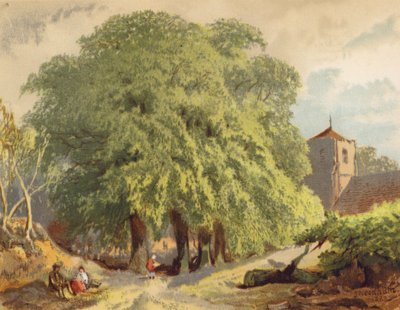 مشهد قرية، ليمون (طباعة حجرية ملونة) بواسطة جوزيف نيدهام