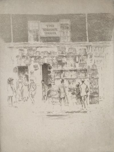 يوركشاير تيرير ، 1903. بواسطة جوزيف بينيل