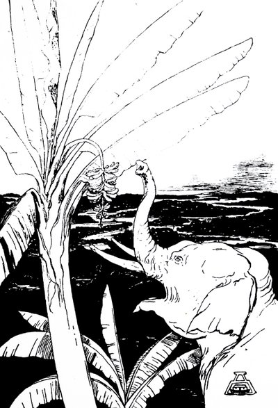 رسم توضيحي لفيل بواسطة كيبلينج (نقش) بواسطة جوزيف روديارد كيبلينج