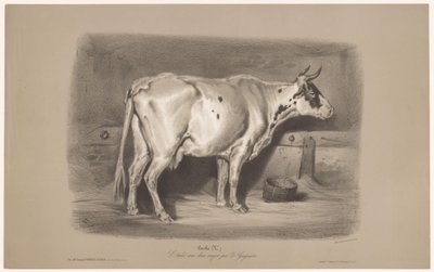 بقرة في الاسطبل Vache (العنوان على الكائن) دراسات على الحيوانات في نوعين من الطباشير (عنوان السلسلة) Étude aux deux crayons par Z. Gengembre (عنوان السلسلة على الكائن) بواسطة فرانسوا ديلارو