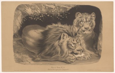 الأسد و اللبؤة Lion et Lionne (العنوان على الكائن) دراسات على الحيوانات في نوعين من الطباشير (عنوان السلسلة) Étude aux deux crayons par Z. Gengembre (عنوان السلسلة على الكائن) بواسطة فرانسوا ديلارو