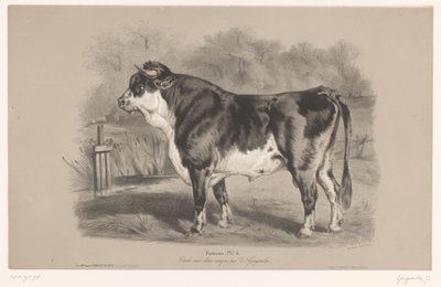 ثور في مرعى Taureau (العنوان على الكائن) دراسات على الحيوانات في نوعين من الطباشير (عنوان السلسلة) Étude aux deux crayons par Z. Gengembre (عنوان السلسلة على الكائن) بواسطة فرانسوا ديلارو