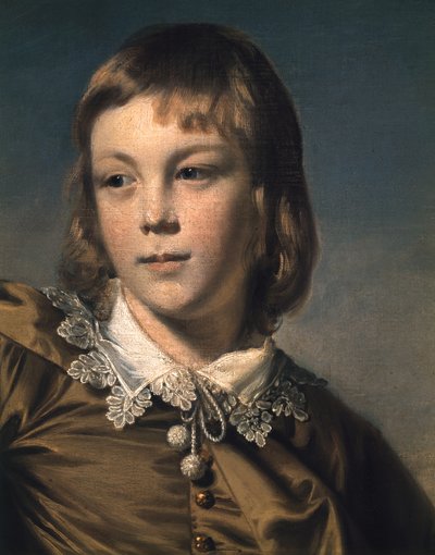 سيد توماس ليستر الصبي البني ، 1764 تفاصيل 4972 بواسطة Joshua Reynolds
