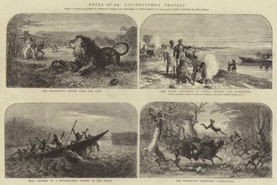 ملاحظات عن رحلات الدكتور ليفينغستون بواسطة Josiah Wood Whymper