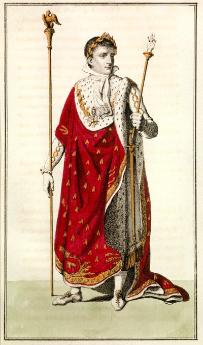 نابليون الأيرلندي بواسطة 