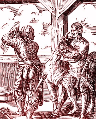 جزار - الطعام والطبخ في العصور الوسطى. نقش لجوست أمان (1539-1591). نقش 1878 بواسطة جوست (بعد) عمان