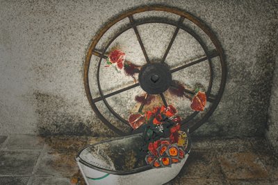  بواسطة الفرح الليونز