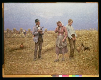 النسخ بواسطة جول دينيولين