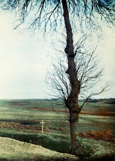 قبر مع العديد من القتلى على جانب الطريق خلال معركة المارن شرق باريس ، سبتمبر 1914 (autochrome) بواسطة جول جيرفيه كورتيلمونت
